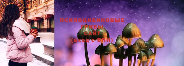 первитин Гусев