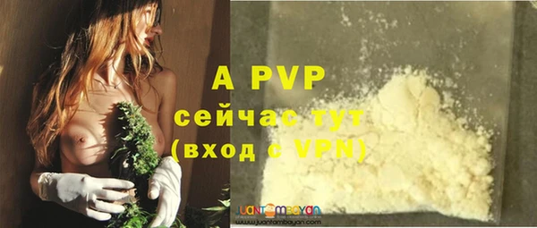 трава Гусиноозёрск