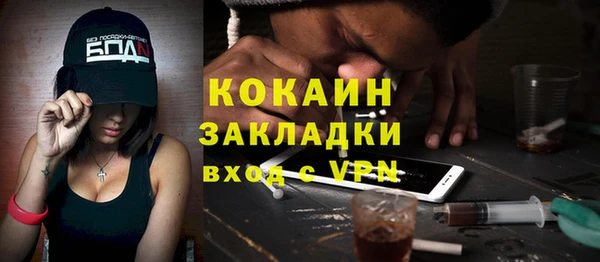 трава Гусиноозёрск