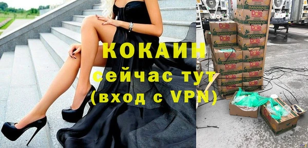 трава Гусиноозёрск