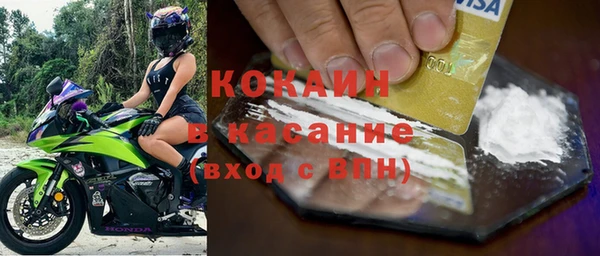 трава Гусиноозёрск